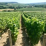 La Bulle De Champagne شقة *