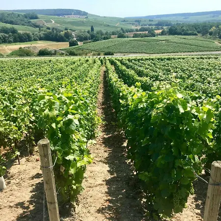 La Bulle De Champagne Apartamento *